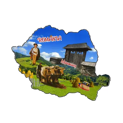 Mgs203-magnet frigider maramures ro.harta